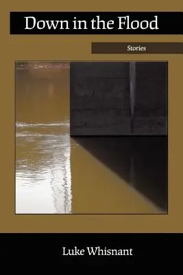 Dolu v záplave - Down in the Flood