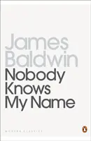 Nikto nepozná moje meno - Ďalšie poznámky rodného syna - Nobody Knows My Name - More Notes Of A Native Son