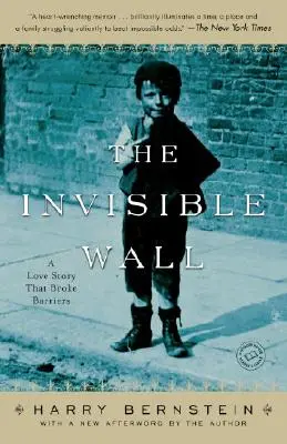 Neviditeľná stena: Príbeh lásky, ktorý prelomil bariéry - The Invisible Wall: A Love Story That Broke Barriers