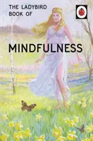 Ladybird Book of Mindfulness (Kniha o všímavosti) - Ladybird Book of Mindfulness
