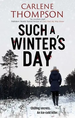Taký zimný deň - Such a Winter's Day