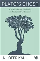 Platónov duch: Mínusové odkazy a limitovanosť v psychoanalytickej praxi - Plato's Ghost: Minus Links and Liminality in Psychoanalytic Practice