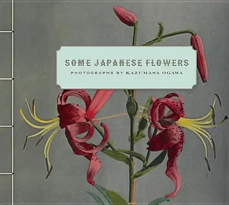 Niektoré japonské kvety - Some Japanese Flowers