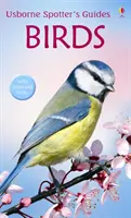 Vtáky - Birds