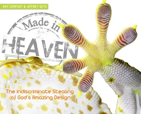 Stvorení v nebi: Človek bezohľadne kradne úžasný Boží plán - Made in Heaven: Man's Indiscriminate Stealing of God's Amazing Design