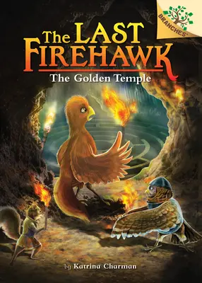 Tajomný labyrint: Kniha vetiev (Posledný jastrab ohnivák #10) (vydanie pre knižnicu), 10 - The Secret Maze: A Branches Book (the Last Firehawk #10) (Library Edition), 10