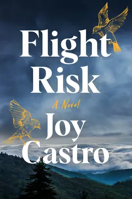 Riziko letu - Flight Risk