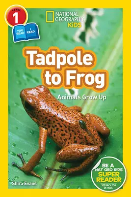 National Geographic Readers: (L1/Co-Reader) - National Geographic Readers: Tadpole to Frog (L1/Co-Reader)