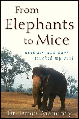 Od slonov po myši: zvieratá, ktoré sa dotkli mojej duše - From Elephants to Mice: Animals Who Have Touched My Soul