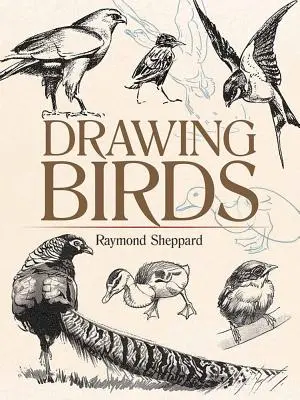 Kreslenie vtákov - Drawing Birds