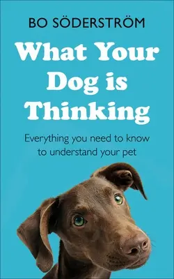 Čo si myslí váš pes: Všetko, čo potrebujete vedieť, aby ste porozumeli svojmu domácemu miláčikovi - What Your Dog Is Thinking: Everything You Need to Know to Understand Your Pet