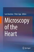 Mikroskopia srdca - Microscopy of the Heart