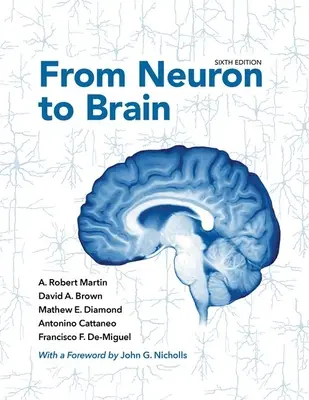 Od neurónu k mozgu - From Neuron to Brain