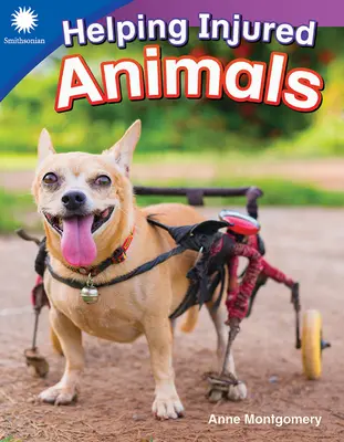 Pomoc zraneným zvieratám - Helping Injured Animals