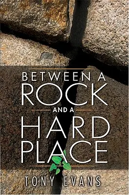 Medzi skalou a tvrdým miestom - Between a Rock and a Hard Place