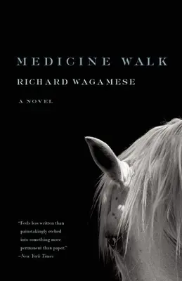Medicínska prechádzka - Medicine Walk