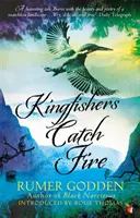 Kingfishers Catch Fire - Virago Modern Classic - Kingfishers Catch Fire - A Virago Modern Classic