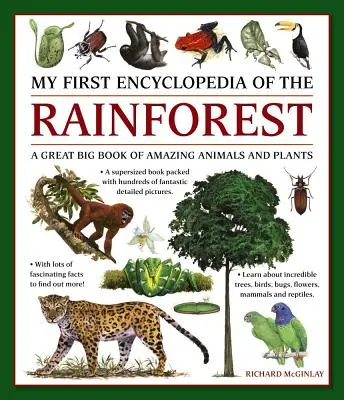 Moja prvá encyklopédia dažďového pralesa: Veľká kniha o úžasných zvieratách a rastlinách - My First Encylopedia of the Rainforest: A Great Big Book of Amazing Animals and Plants