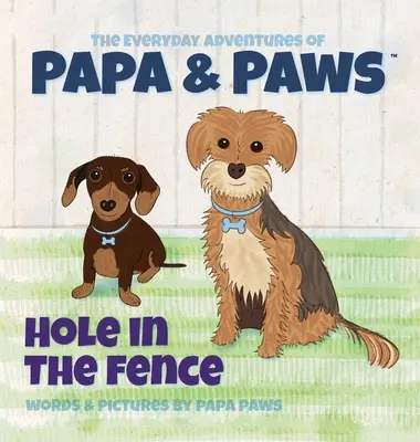 Diera v plote - Hole in the Fence