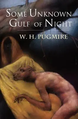 Nejaký neznámy záliv noci - Some Unknown Gulf of Night