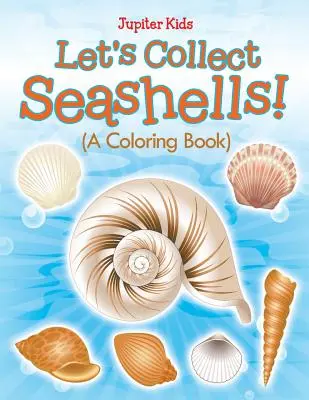Zbierajme mušle! (Knižka na vyfarbovanie) - Let's Collect Seashells! (A Coloring Book)