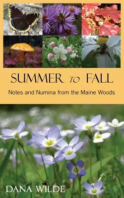 Od leta do jesene - Summer to Fall