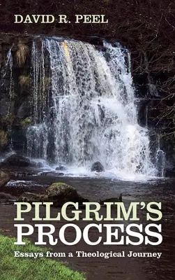 Pútnikov proces - Pilgrim's Process