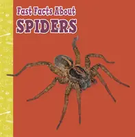 Rýchle fakty o pavúkoch - Fast Facts About Spiders