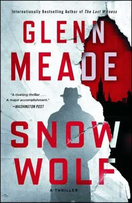 Snehový vlk: Thriller - Snow Wolf: A Thriller