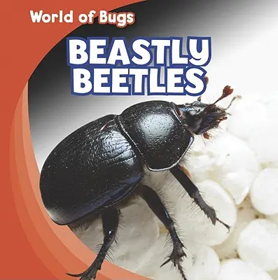 Zvieracie chrobáky - Beastly Beetles