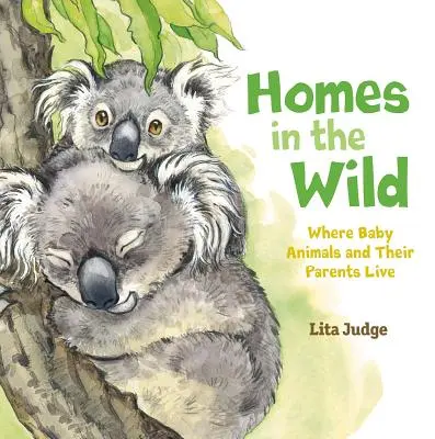Domovy v divočine: Kde žijú mláďatá zvierat a ich rodičia - Homes in the Wild: Where Baby Animals and Their Parents Live
