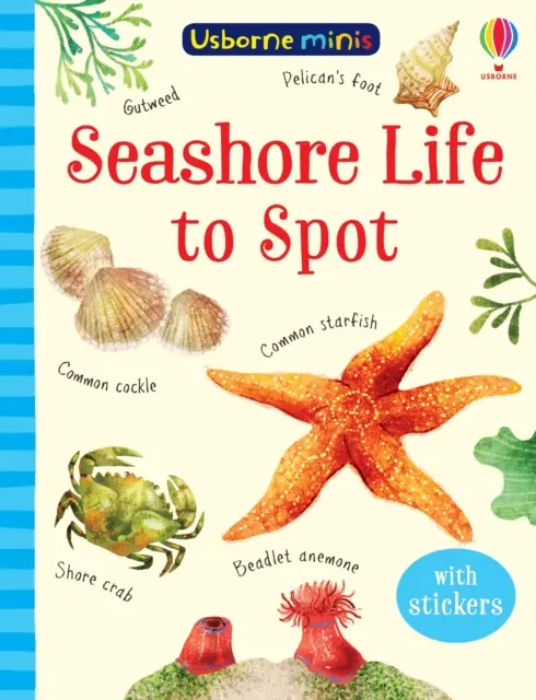 Život na morskom pobreží na spoznávanie - Seashore Life to Spot