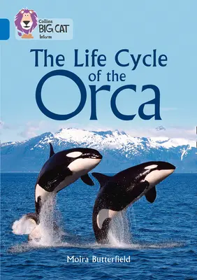 Collins Veľká mačka - Životný cyklus kosatiek: 16. skupina/Sapphire - Collins Big Cat - The Life Cycle of the Orca: Band 16/Sapphire