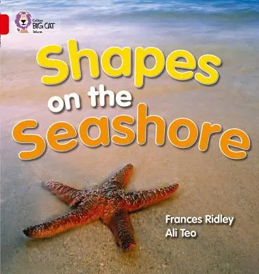 Tvary na brehu mora - Shapes on the Seashore