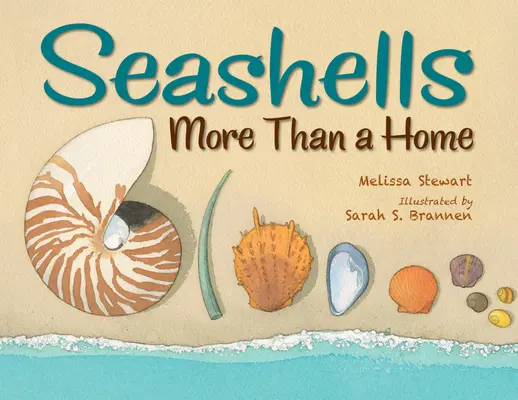 Mušle: Viac ako domov - Seashells: More Than a Home