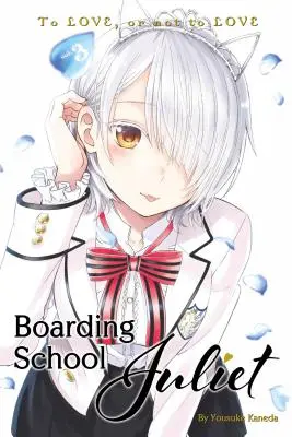 Internátna škola Juliet 3 - Boarding School Juliet 3