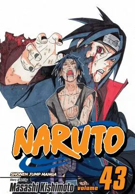 Naruto, zv. 43, 43 - Naruto, Vol. 43, 43