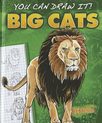 Veľké mačky - Big Cats