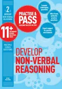 Practise & Pass 11+ Level Two: Develop Non-verbal Reasoning