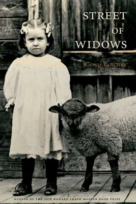 Ulica vdov - Street of Widows