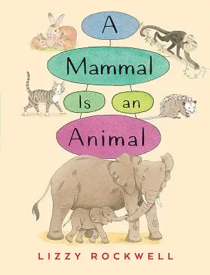Cicavec je zviera - A Mammal Is an Animal