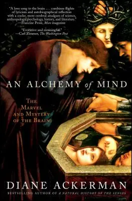 Alchýmia mysle: Alchýmia mozgu: zázrak a tajomstvo mozgu - An Alchemy of Mind: The Marvel and Mystery of the Brain
