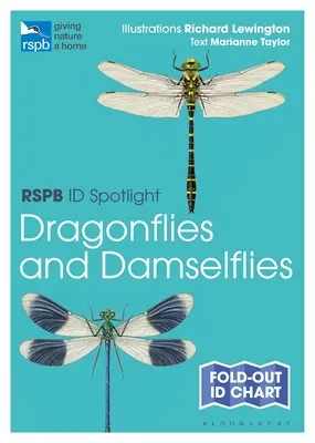 Rspb Id Spotlight - Vážky a lastovičky - Rspb Id Spotlight - Dragonflies and Damselflies