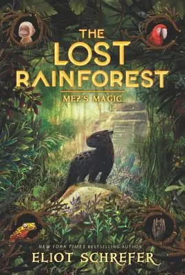 Stratený dažďový prales: Mezova mágia - The Lost Rainforest: Mez's Magic