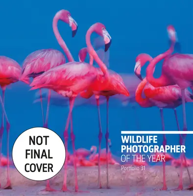 Fotograf divokej prírody roka: Portfólio 31, 31 - Wildlife Photographer of the Year: Portfolio 31, 31