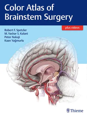 Farebný atlas chirurgie mozgového kmeňa - Color Atlas of Brainstem Surgery