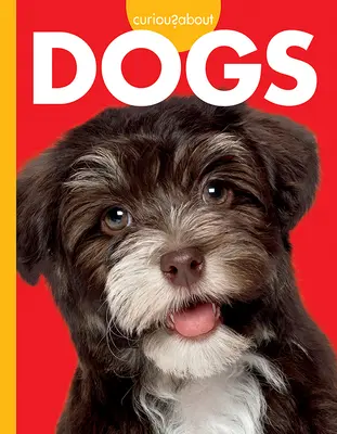 Zvedavosť na psy - Curious about Dogs