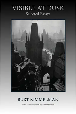Viditeľné za súmraku - Visible at Dusk