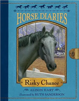 Riskantná šanca - Risky Chance