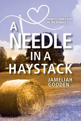 Ihla v kope sena: Ako nájsť lásku v sutinách - A Needle in a Haystack: How to Find Love in the Rubble